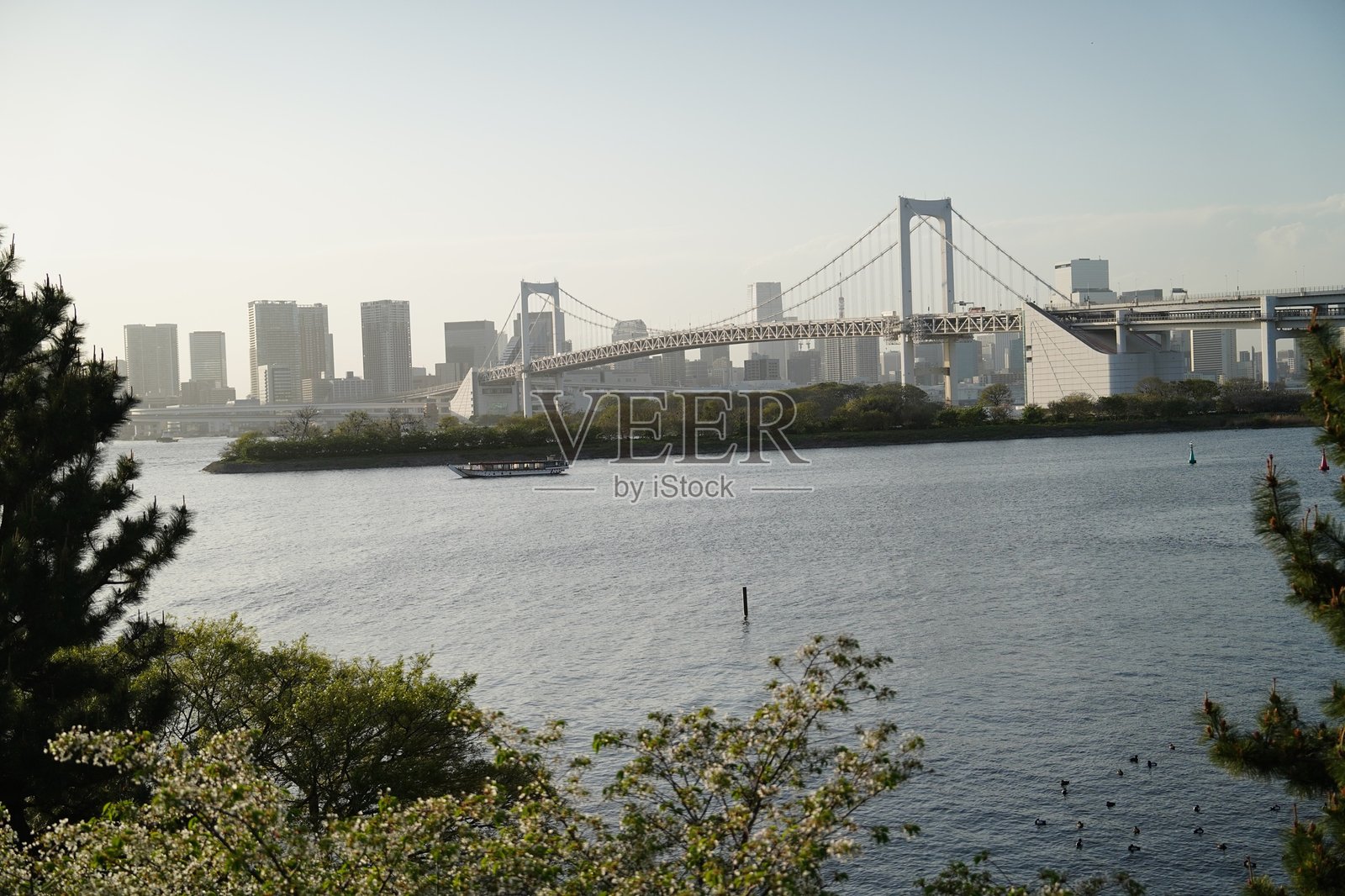 彩虹桥和东京湾的美景，城市天际线与前景中的自然景观相映成趣照片摄影图片