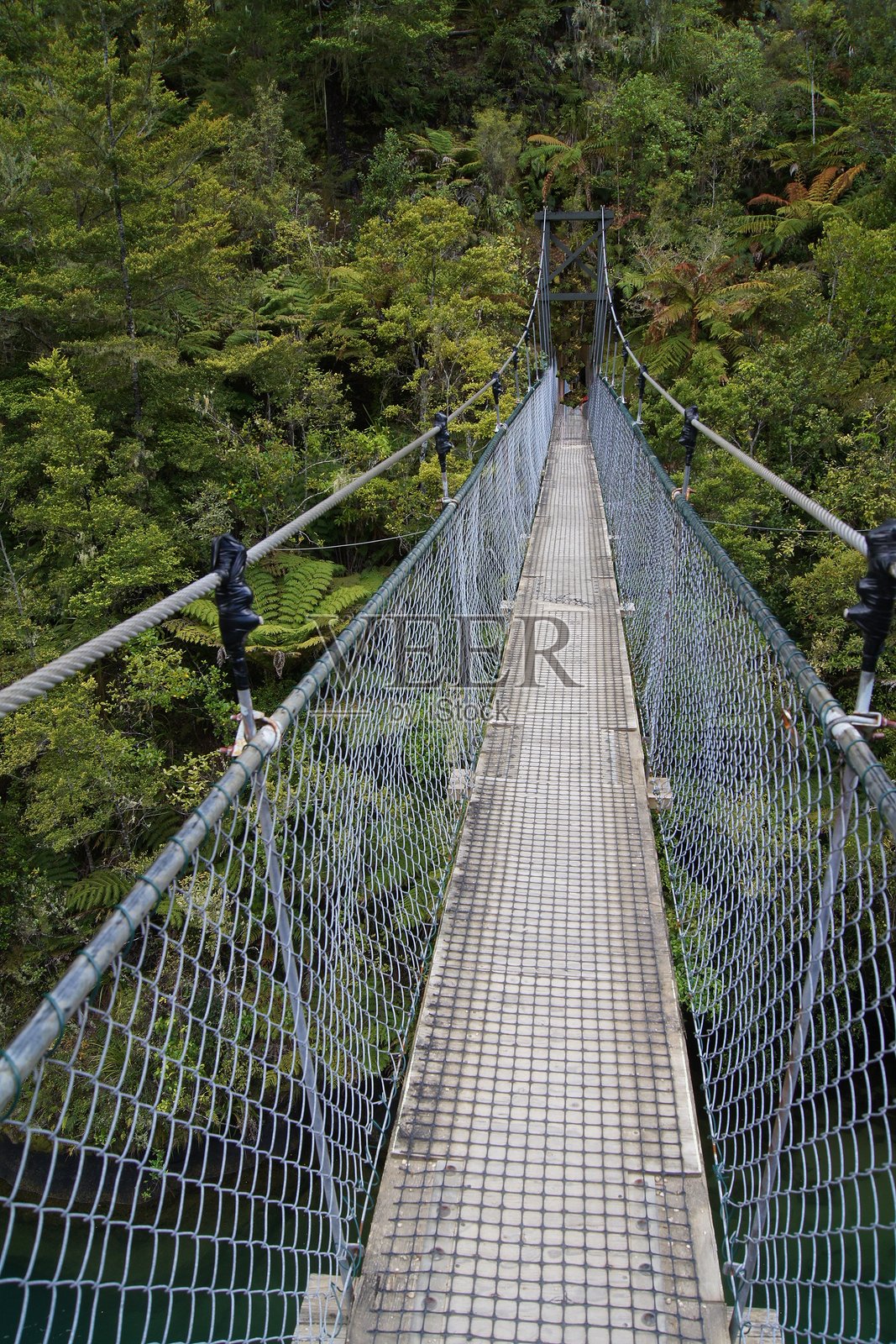 新西兰南岛阿贝尔·塔斯曼国家公园的悬索桥照片摄影图片