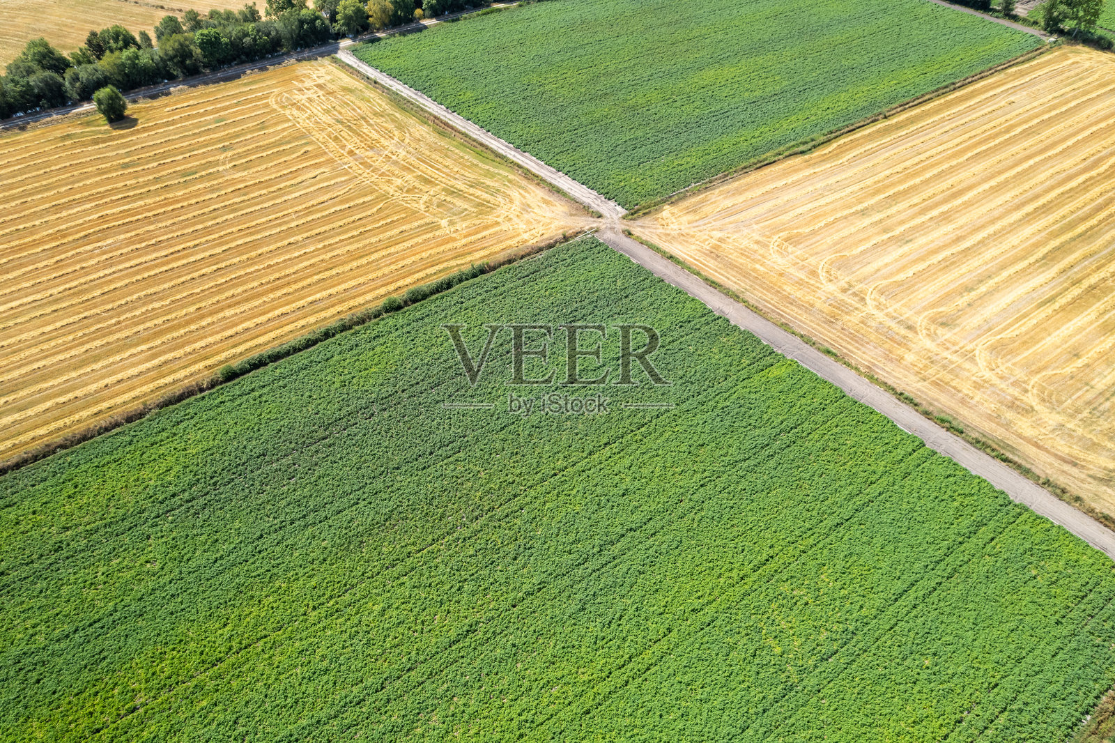 交叉的土豆和谷物田的鸟瞰图。多样化农田和一条道路的空中景观。照片摄影图片