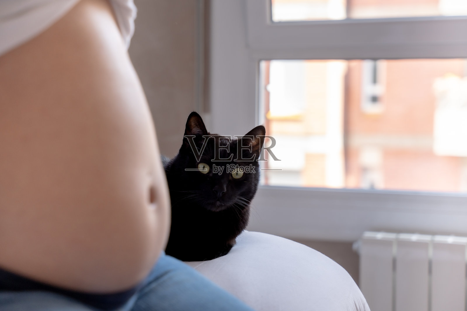 怀孕的女人与一只猫，担心感染弓形虫病的风险照片摄影图片