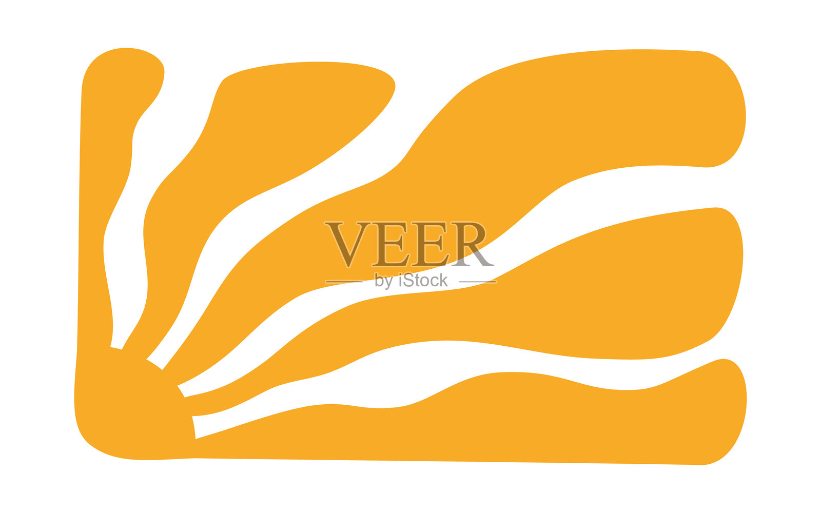 黄色阳光的迷幻背景。波浪形光线，充满活力的风格。抽象的阳光爆发海报。迷幻纹理。70年代、80年代设计。放射状波浪线。矢量插图，白色背景上独立展示。插画图片素材