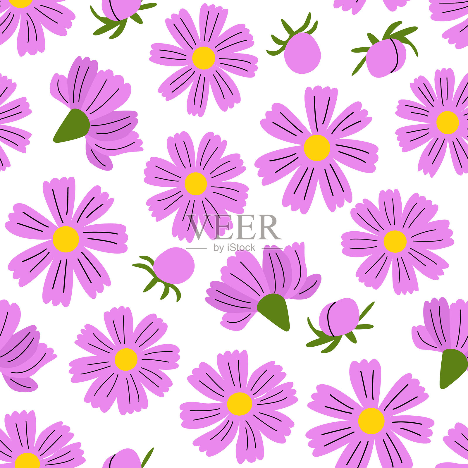 花园大波斯菊的植物无缝图案。花蕾和花瓣插画图片素材