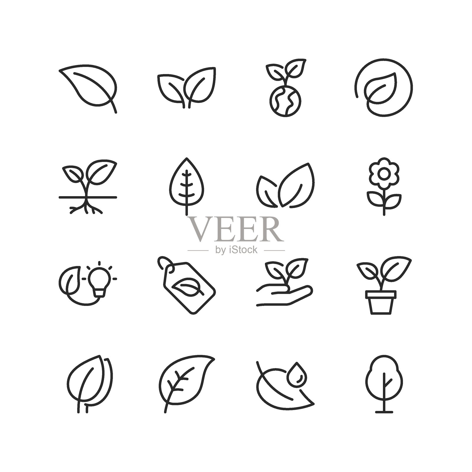 植物和叶子生长，线性风格图标集。植物生长的不同阶段，从幼苗到成熟植物。叶子、芽、花，环保的象征。可编辑的线条宽度。插画图片素材