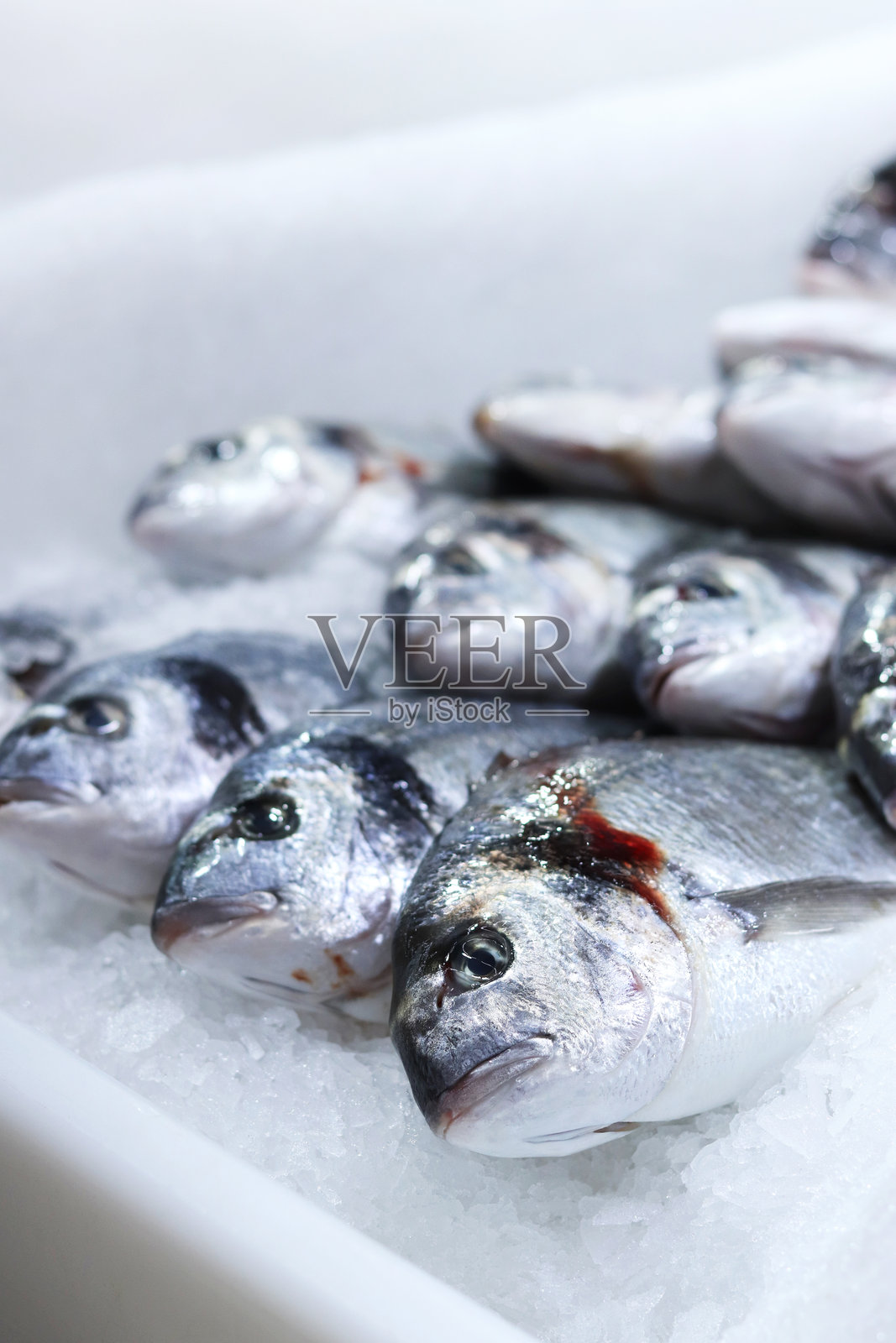 超市里冰上的多罗鱼特写。新鲜冷冻鱼。照片摄影图片