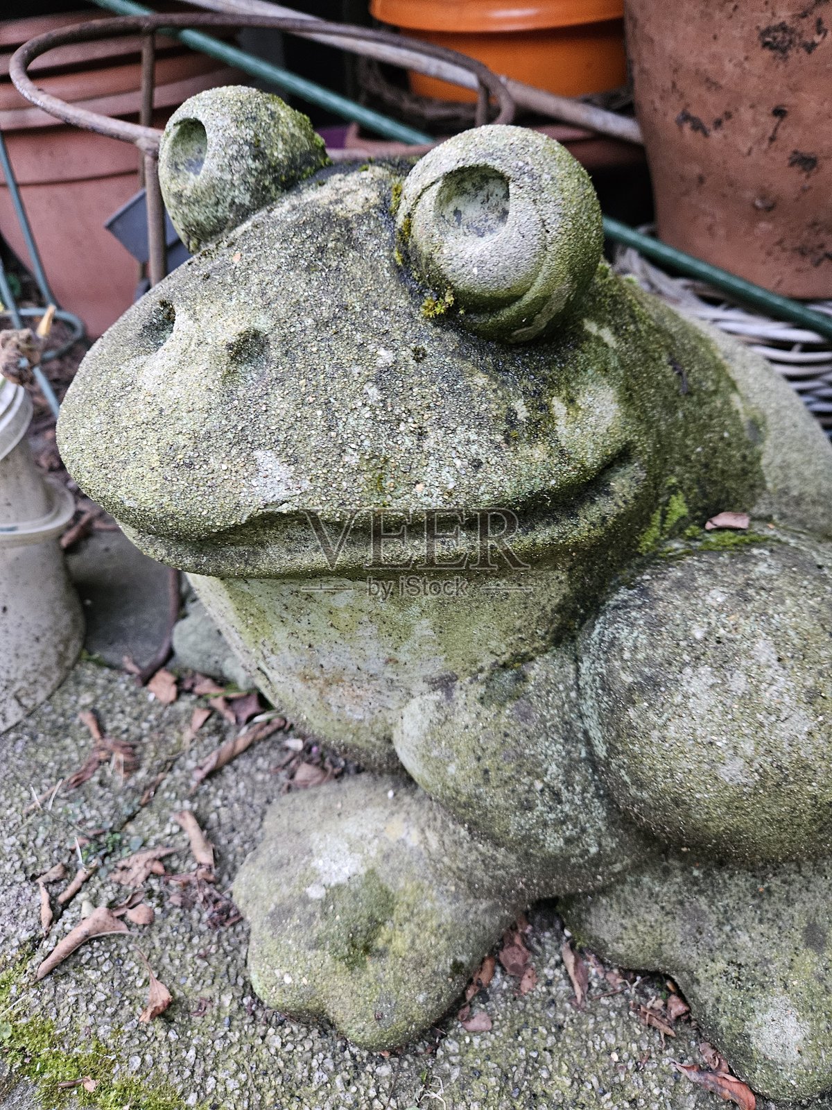 水泥青蛙形状的花园雕像坐落在户外的家庭花园中，上面长满了绿色苔藓。照片摄影图片