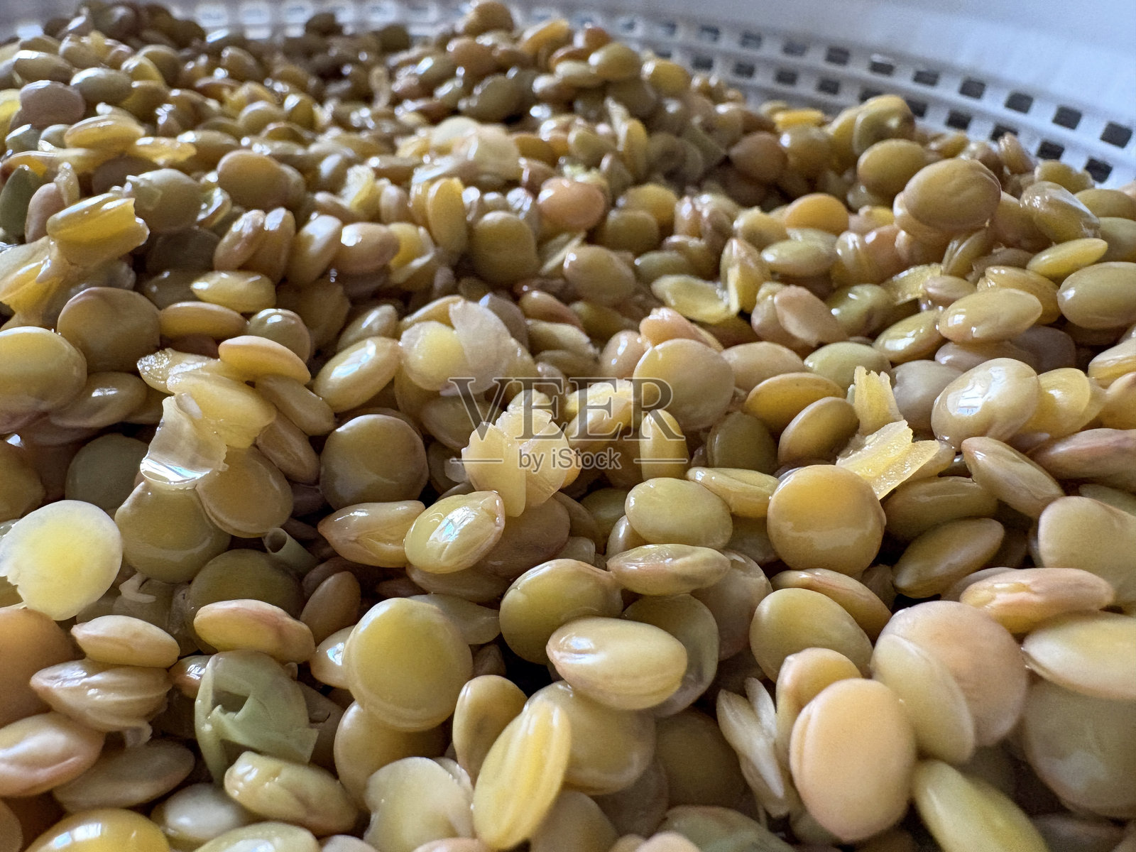 熟绿扁豆照片摄影图片