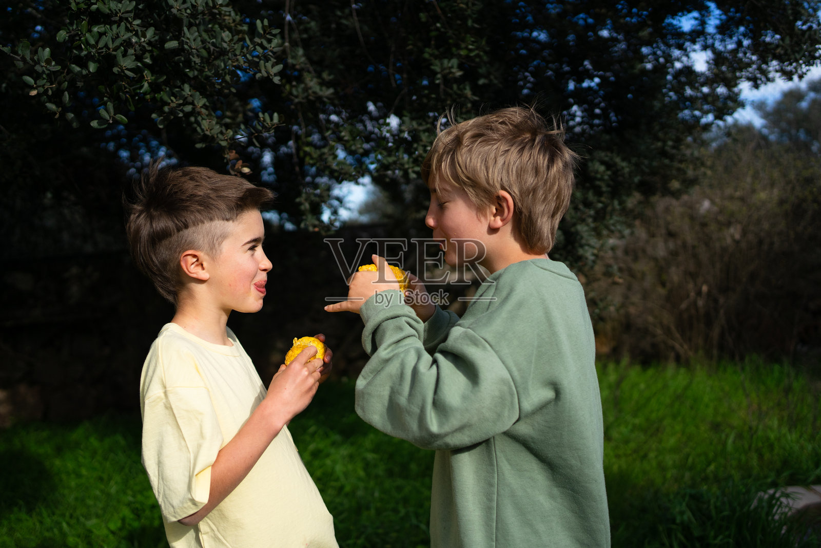 两个男孩在树下分享和吃橙子照片摄影图片