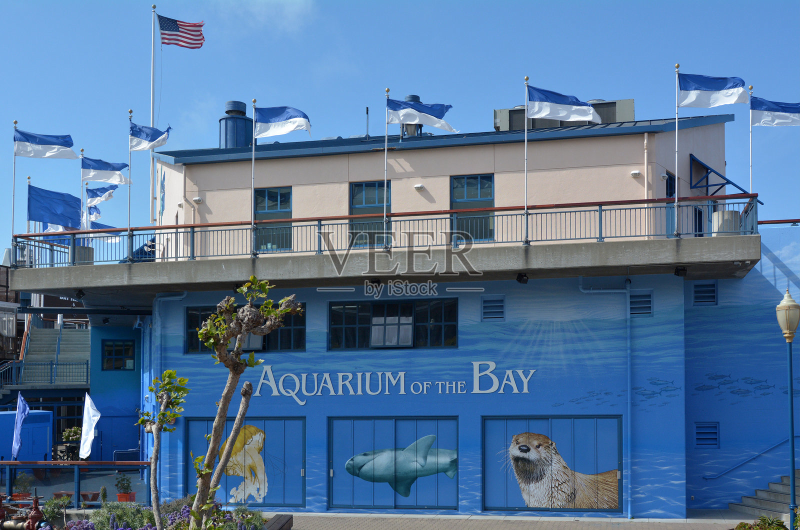 旧金山湾水族馆 - 加利福尼亚州照片摄影图片
