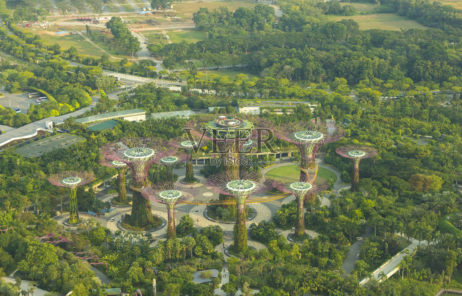 滨海湾花园的高视角植物景观照片摄影图片