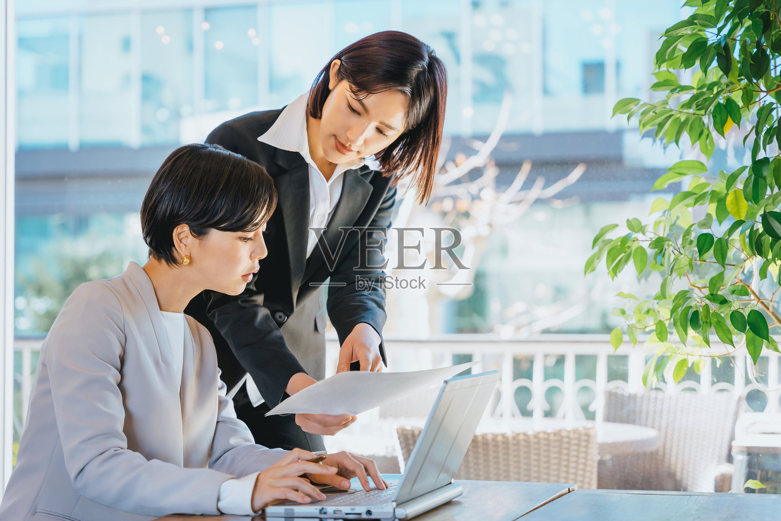 两位三十多岁的女性在商业区明亮办公室的窗前认真地在电脑前工作。照片摄影图片