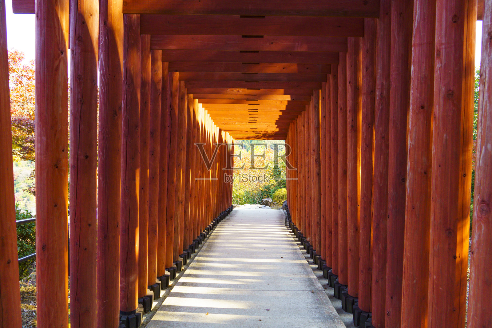 鸟居沿着通往山顶的小路排列。照片摄影图片