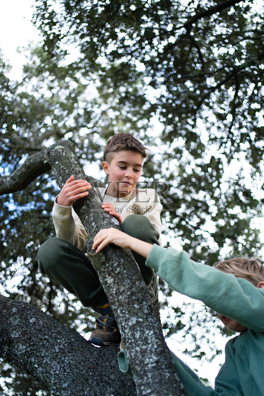 孩子们在森林中爬树，享受大自然照片摄影图片