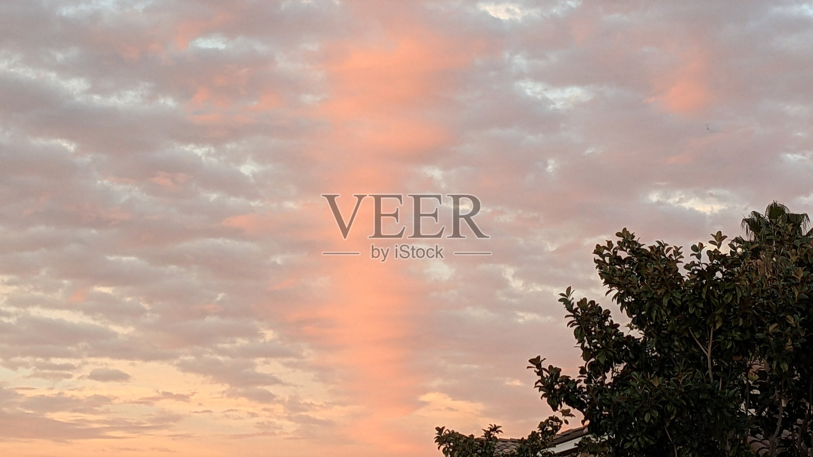 傍晚的深红天空照片摄影图片