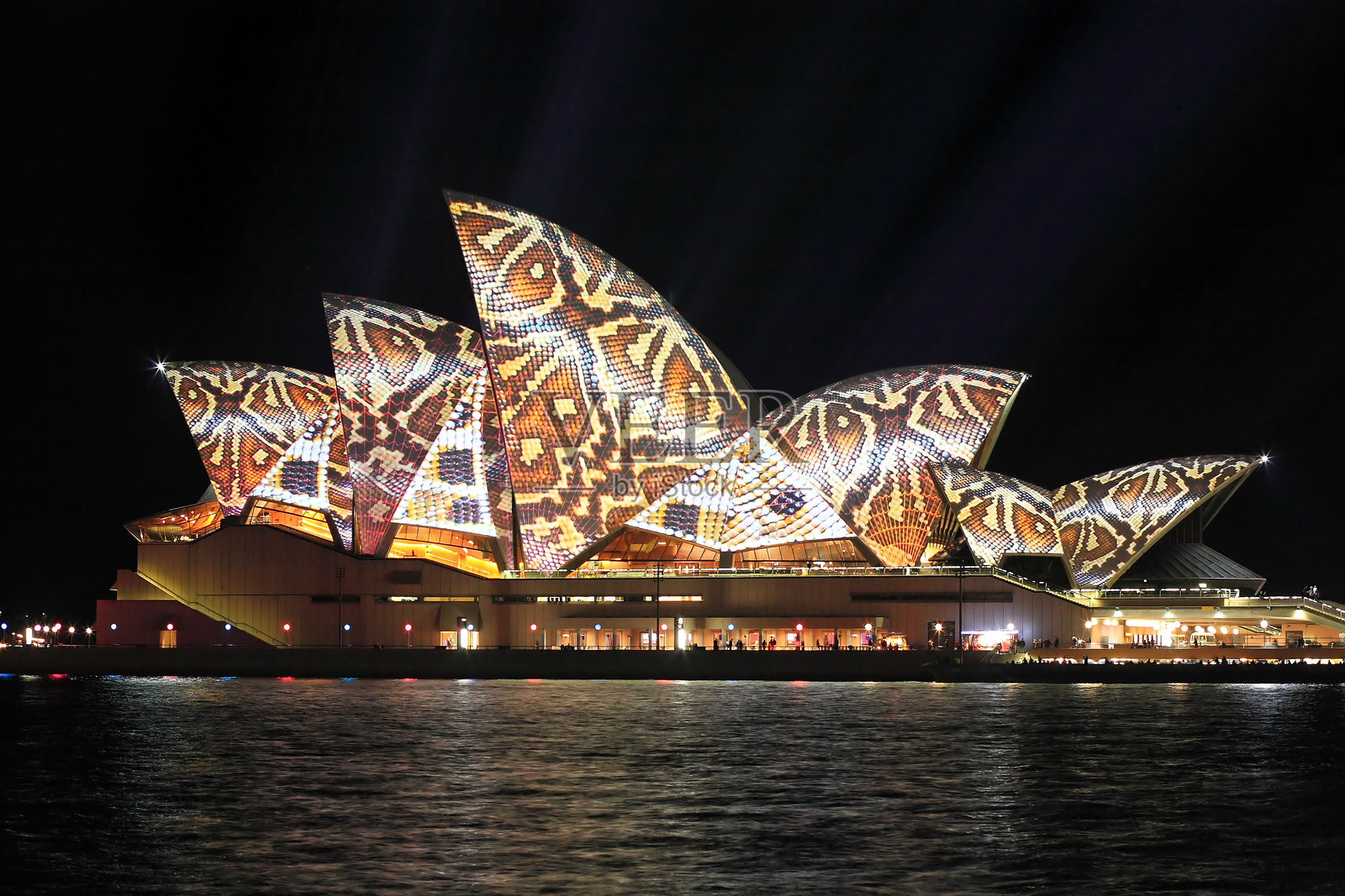 悉尼歌剧院的爬行动物蛇纹图案，生动的悉尼照片摄影图片