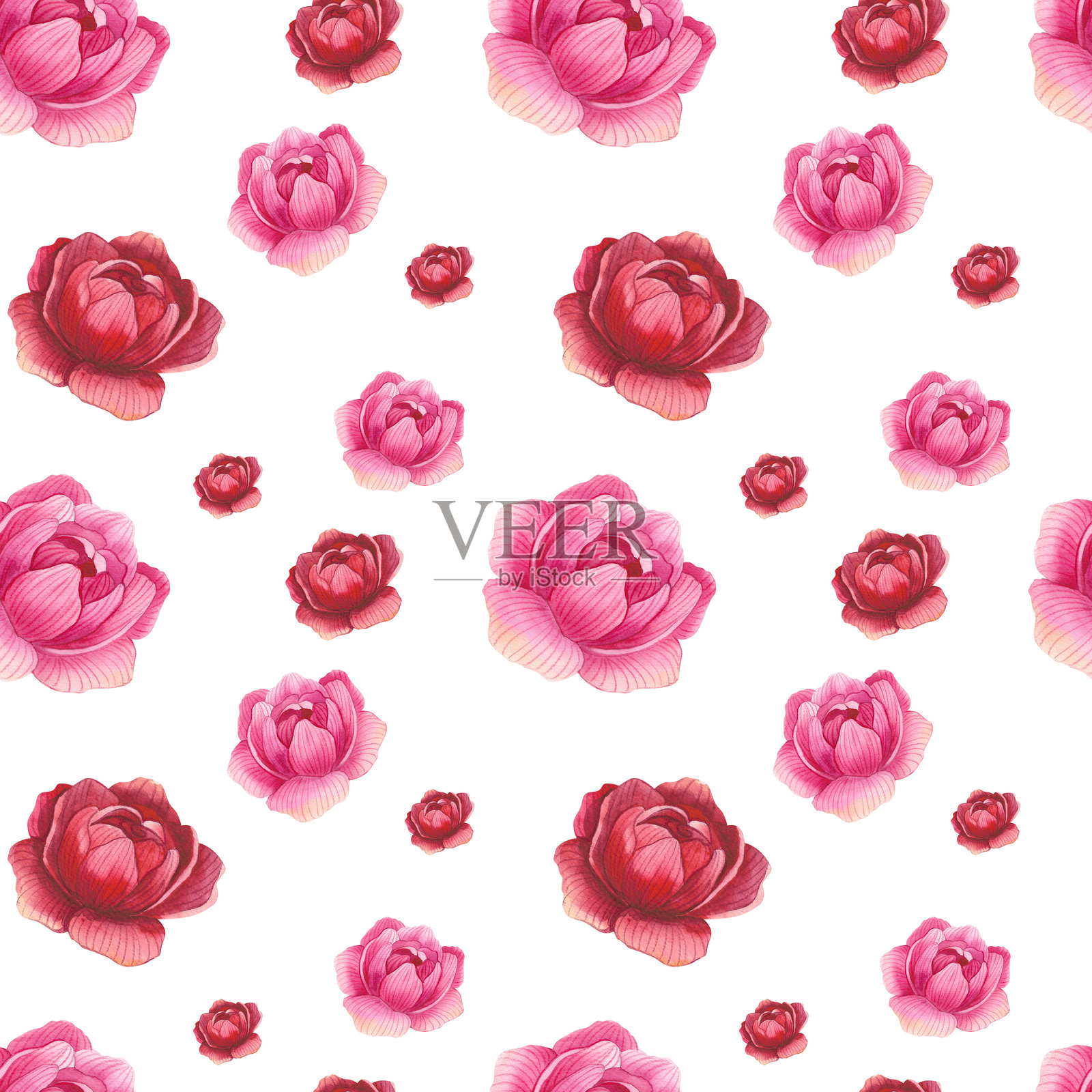 花卉组合。无缝图案。叶子、牡丹、玫瑰。用于婚礼请柬、贺卡、印刷设计的花卉水彩插图。春季和夏季的花卉植物组合。插画图片素材