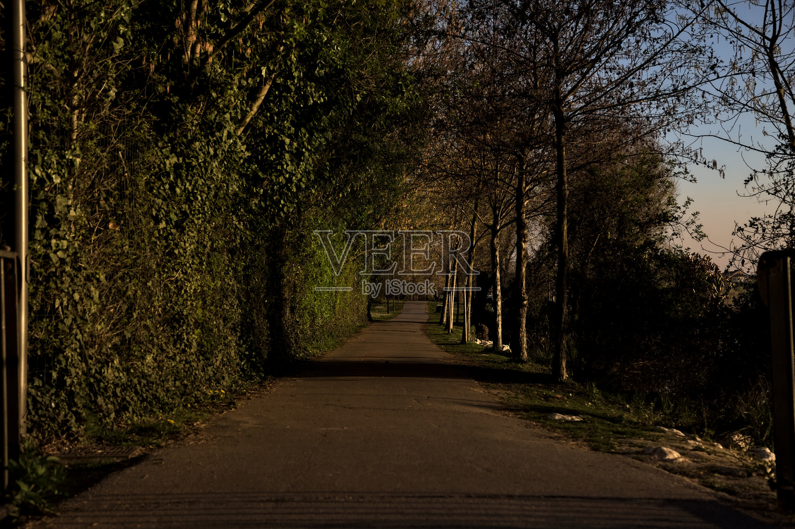 公园湖边的步道在日落时分照片摄影图片