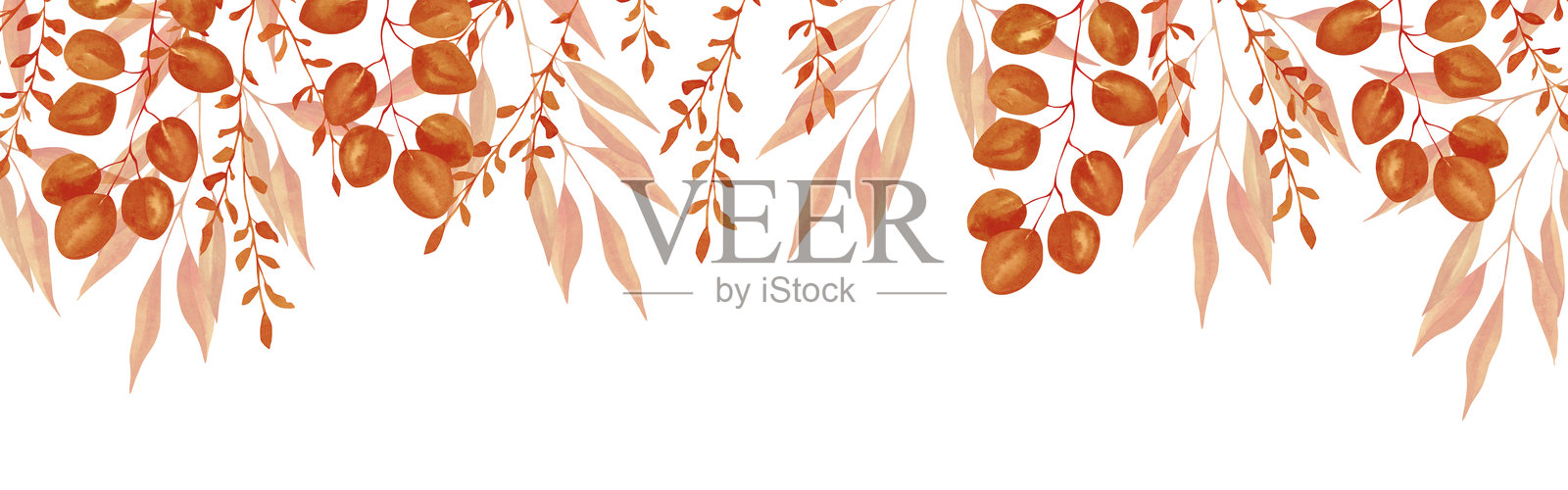 带有各种秋季草药水彩插图的框架。插画图片素材