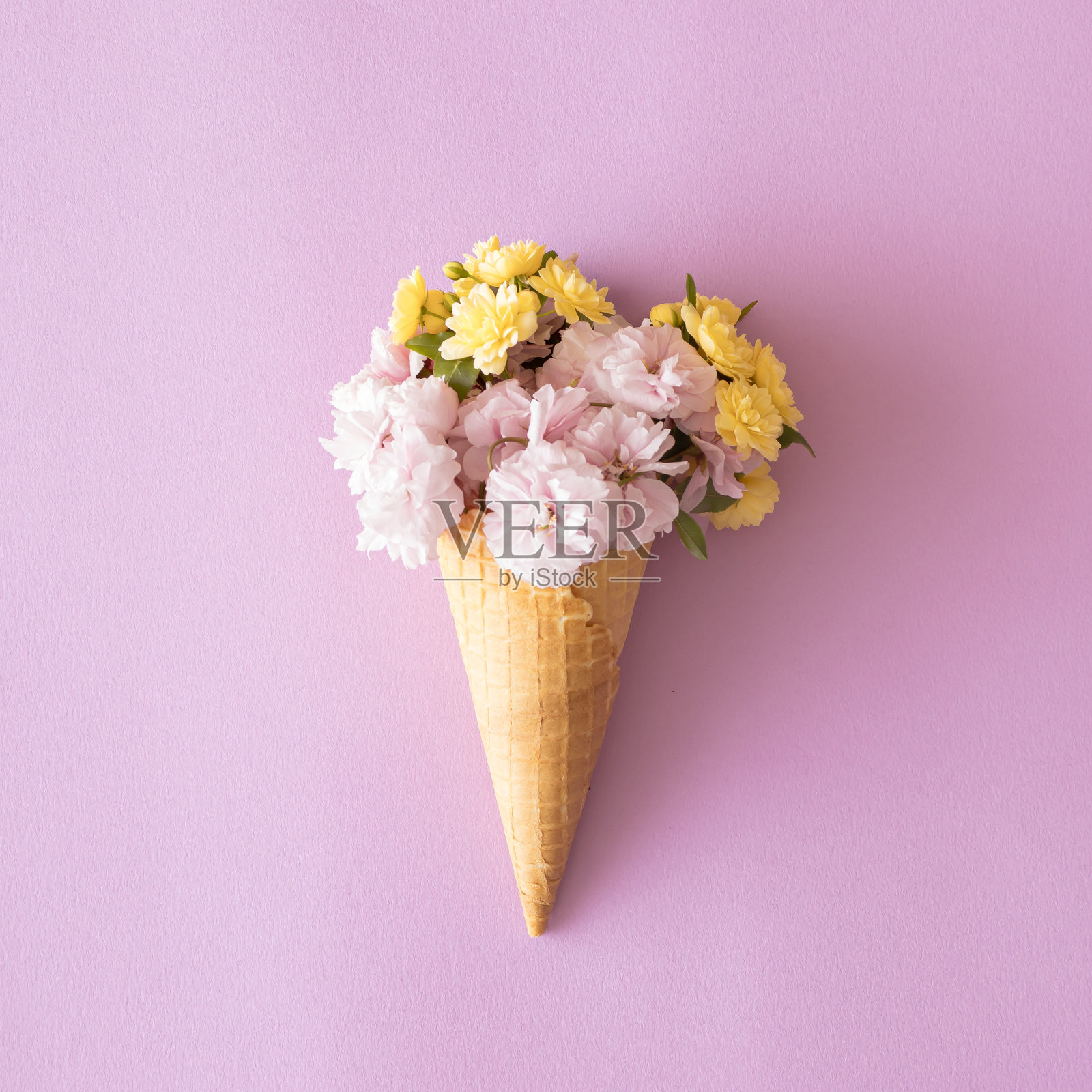 冰淇淋甜筒里的黄色和亮粉色花朵，背景为淡紫色。极简概念。俯视图。照片摄影图片