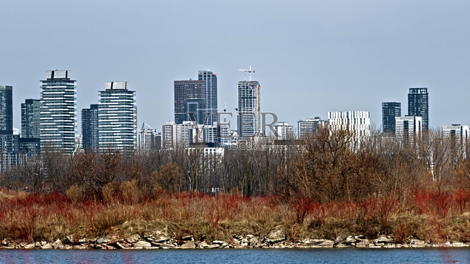 自然与城市的交汇：从公园边缘看多伦多的高楼丛林照片摄影图片