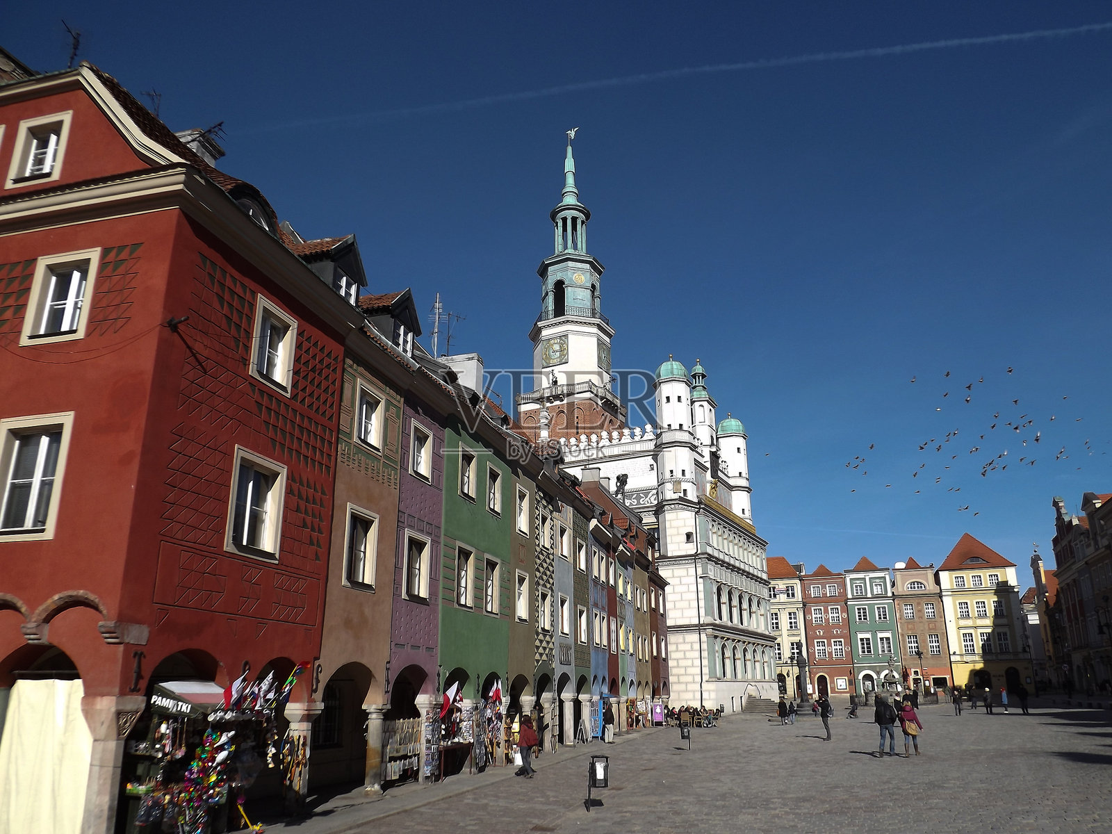 波兹南市政厅，波兰照片摄影图片