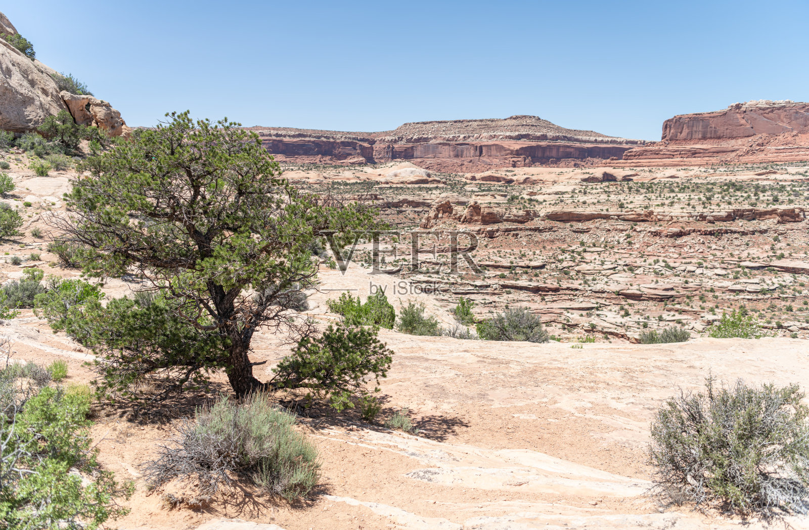 美国犹他州峡谷地国家公园北部的南犹他州风景照片摄影图片