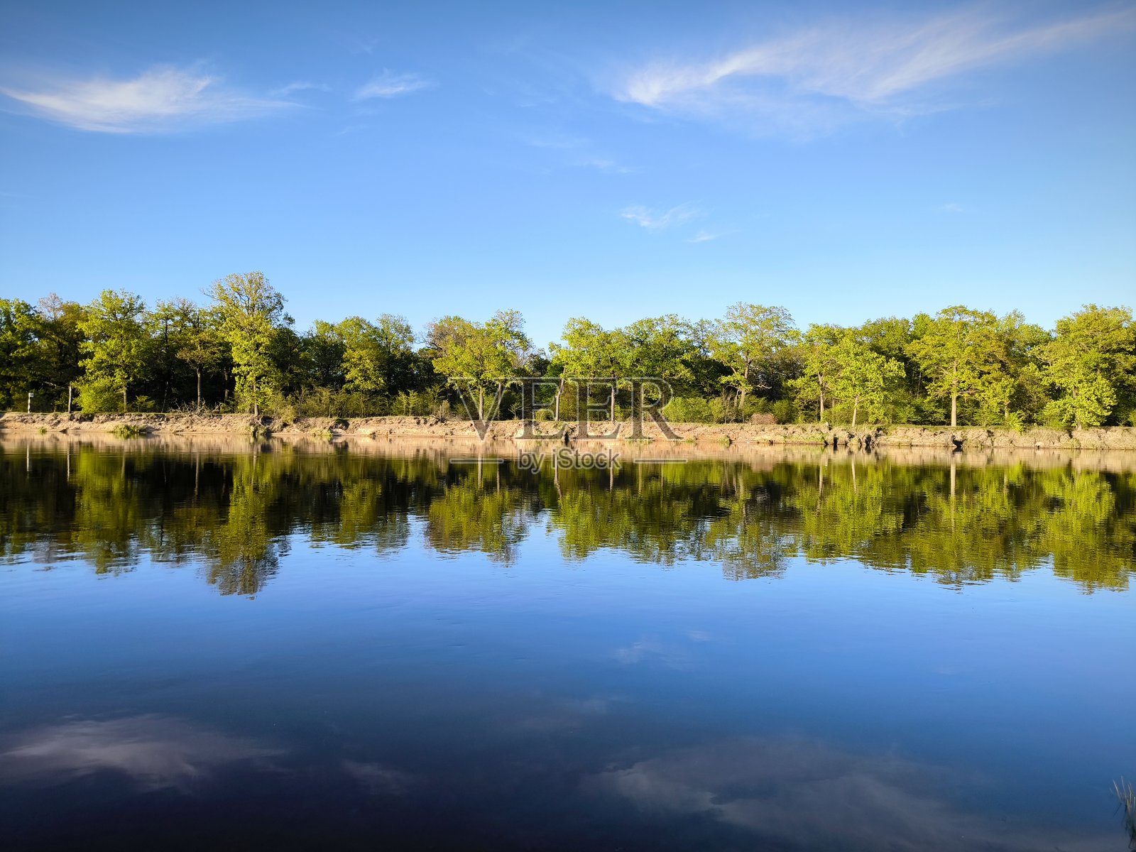 森林中的湖泊。美丽的风景，河岸被森林环绕。照片摄影图片