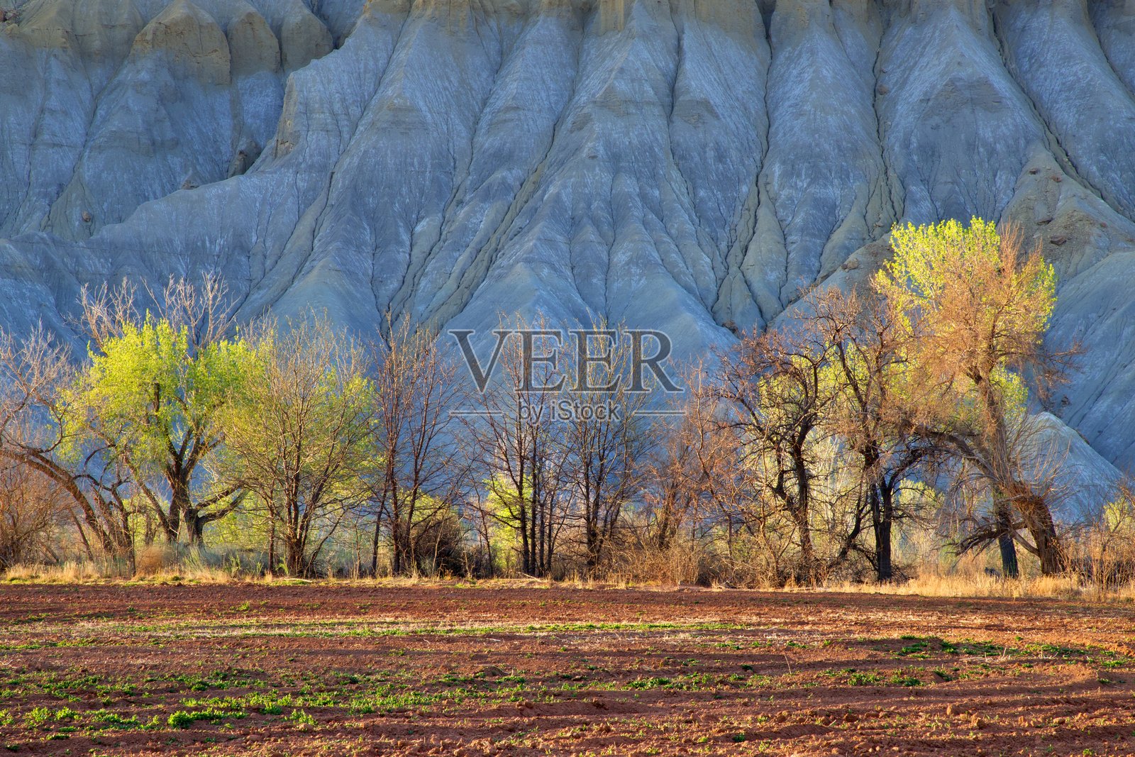 凯恩维尔，犹他州照片摄影图片