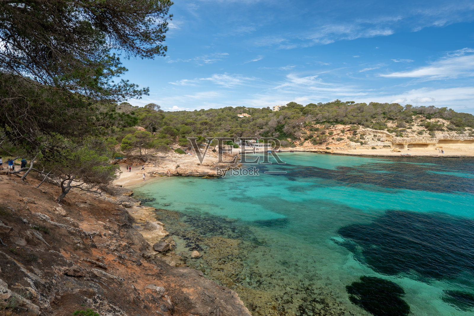 马洛卡，巴利阿里群岛，西班牙的隐秘海湾，碧蓝清澈的海水和地中海松树。照片摄影图片