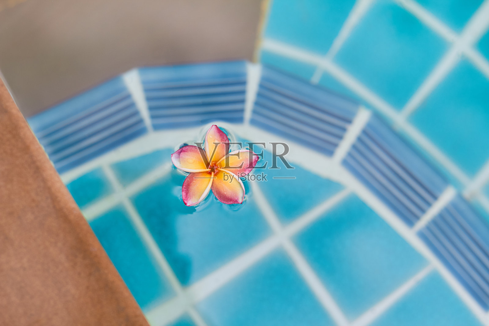 明亮的花朵漂浮在碧绿色的水面上，周围是瓷砖和自然元素，营造出宁静的泳池环境。照片摄影图片