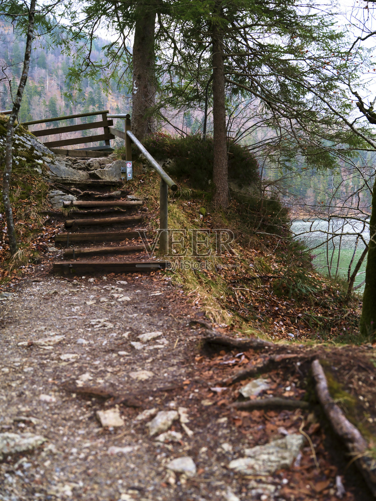 秋季森林中宁静湖边的木栈道风景徒步小径照片摄影图片