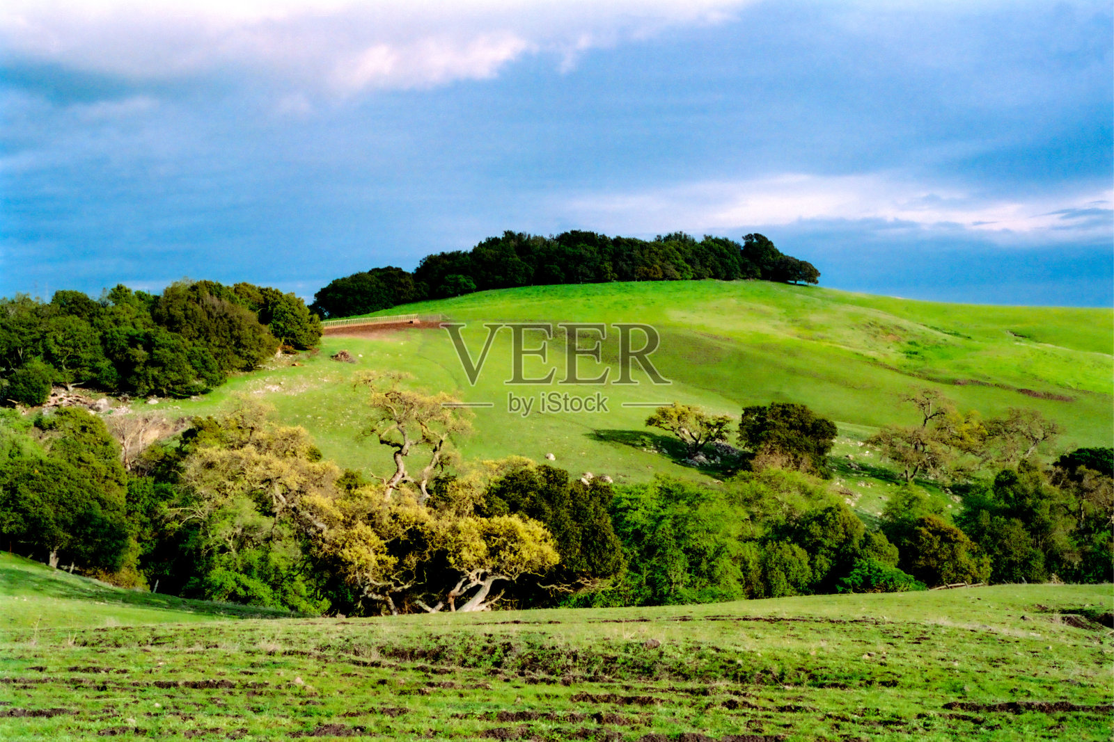 加利福尼亚的田野照片摄影图片