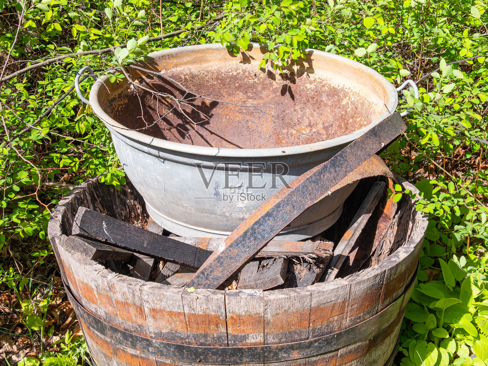 生锈的盆子放在木桶上，周围环绕着绿色植物照片摄影图片
