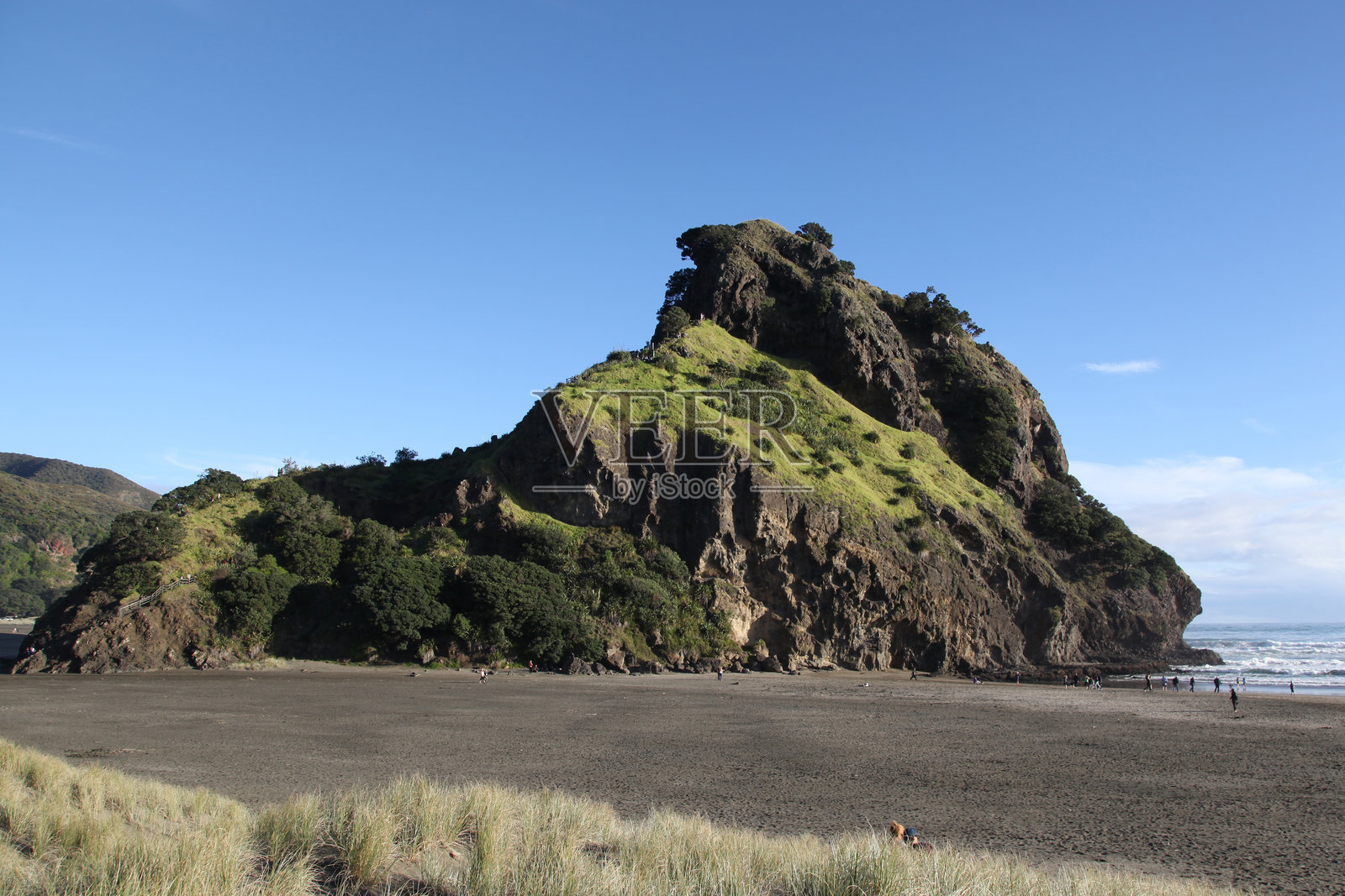 新西兰奥克兰附近西海岸的皮哈狮子岩照片摄影图片