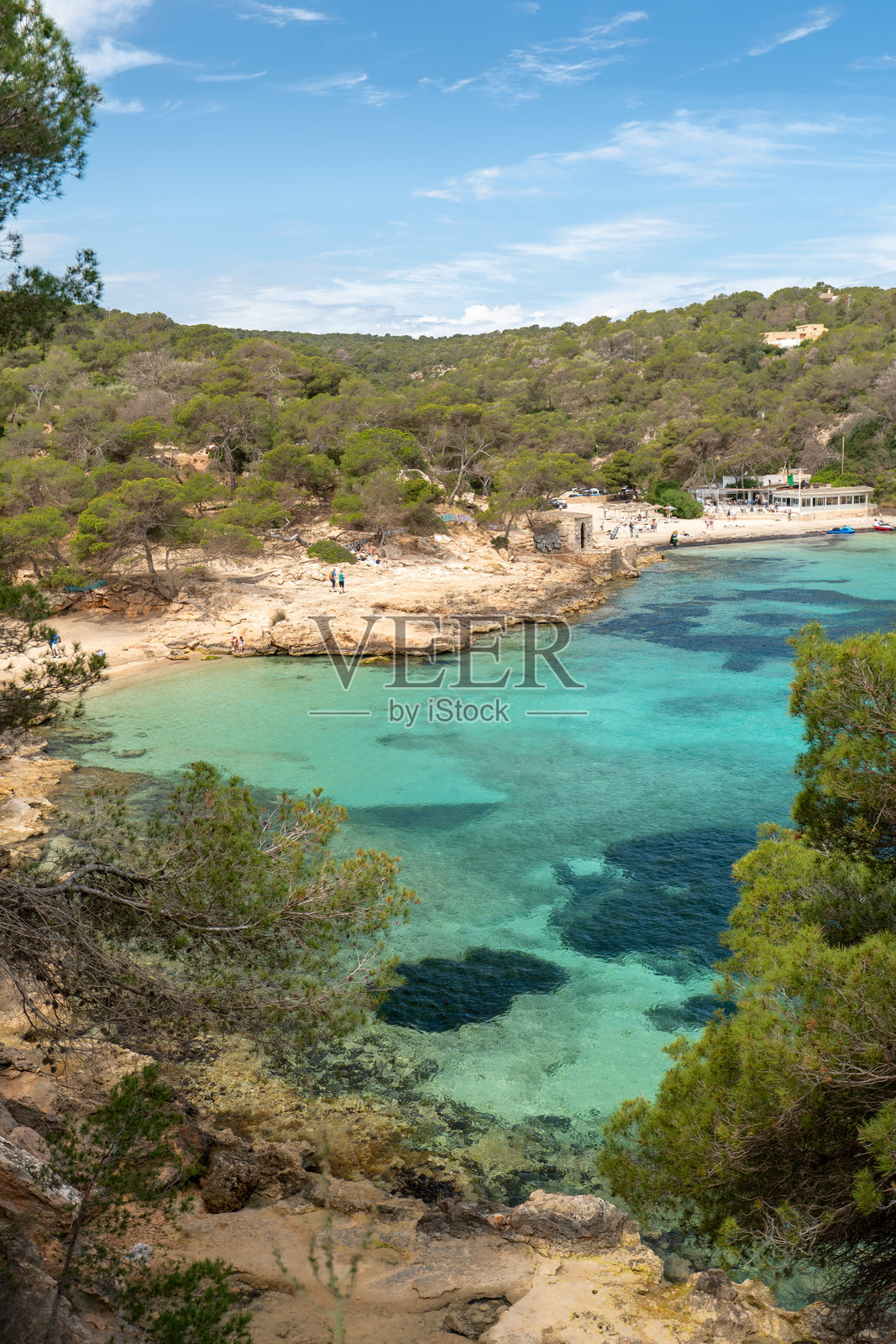 马略卡岛，巴利阿里群岛，西班牙的隐秘海湾，碧蓝清澈的海水和地中海松树。照片摄影图片