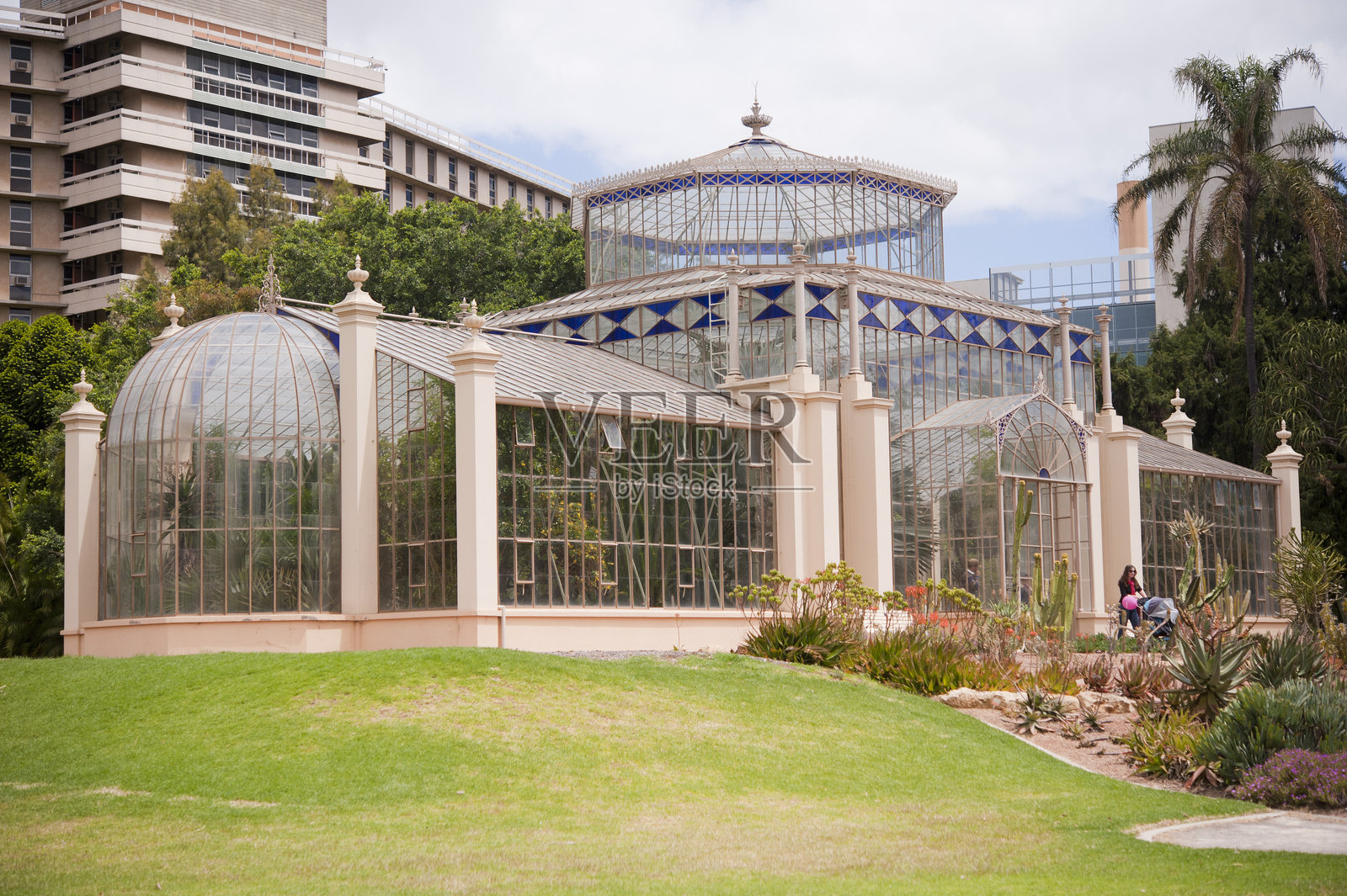 植物园棕榈温室照片摄影图片