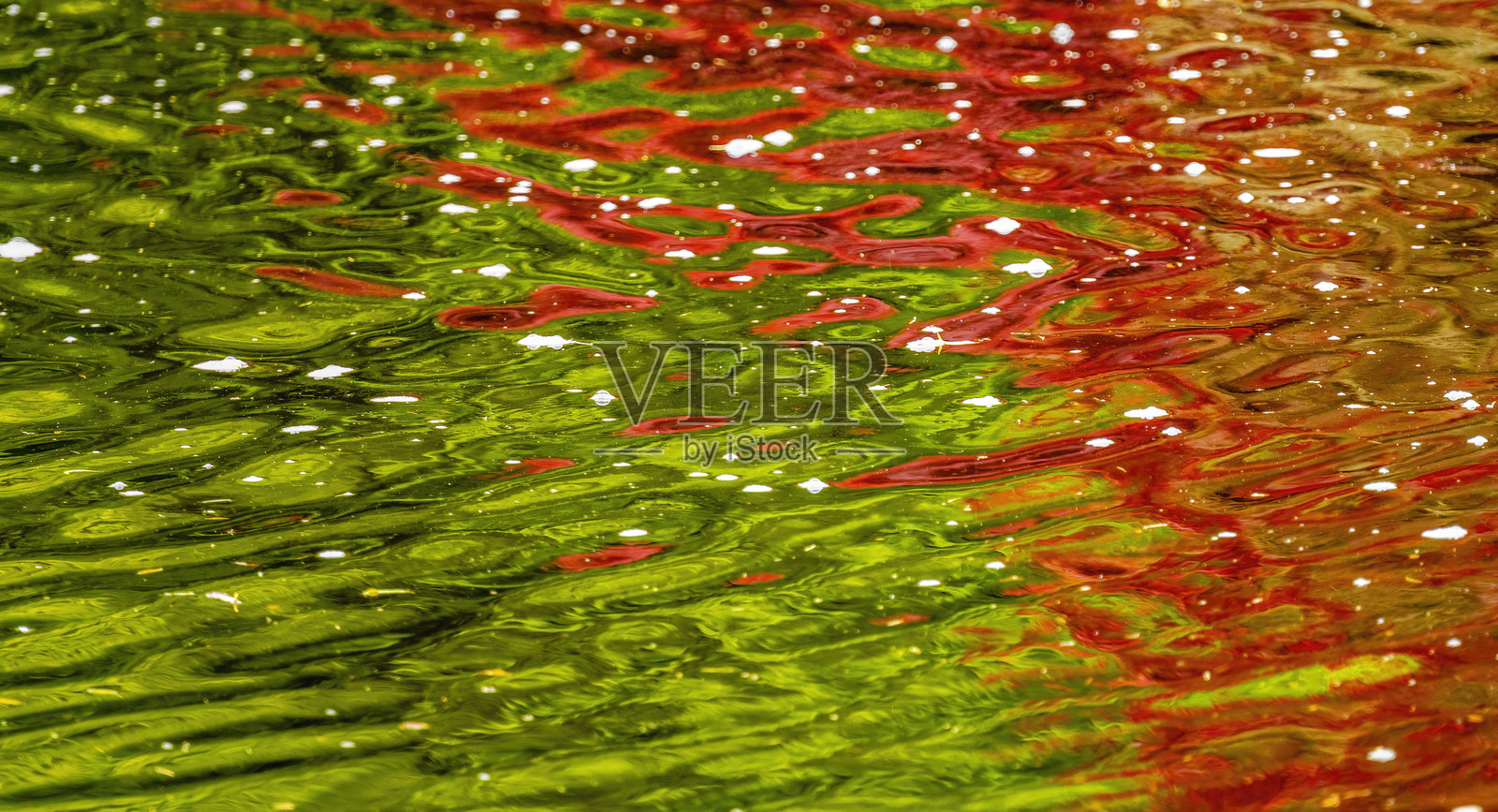 绿色 红色 黄色 白色 反射 抽象 温德森花园 加拿大照片摄影图片