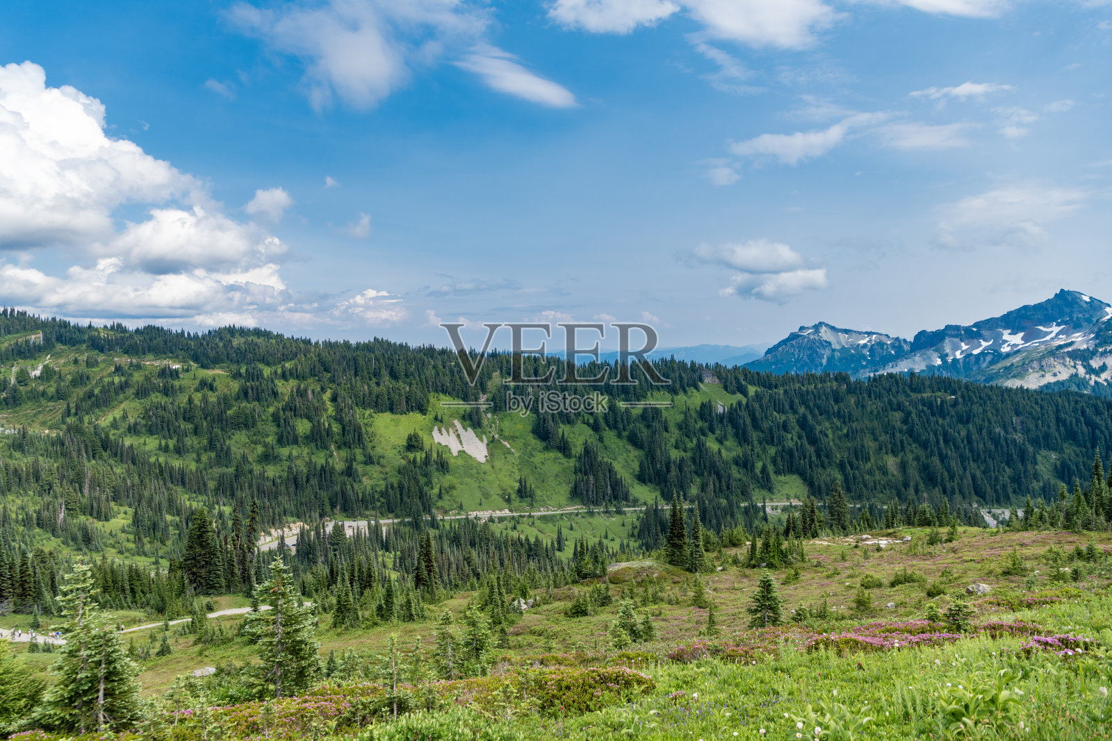 森林自然与山脉。绿色山谷风景。山区乡村的自然。乡村山谷风景。山谷。松树与森林的山脉风景。田园诗般的乡村背景。照片摄影图片