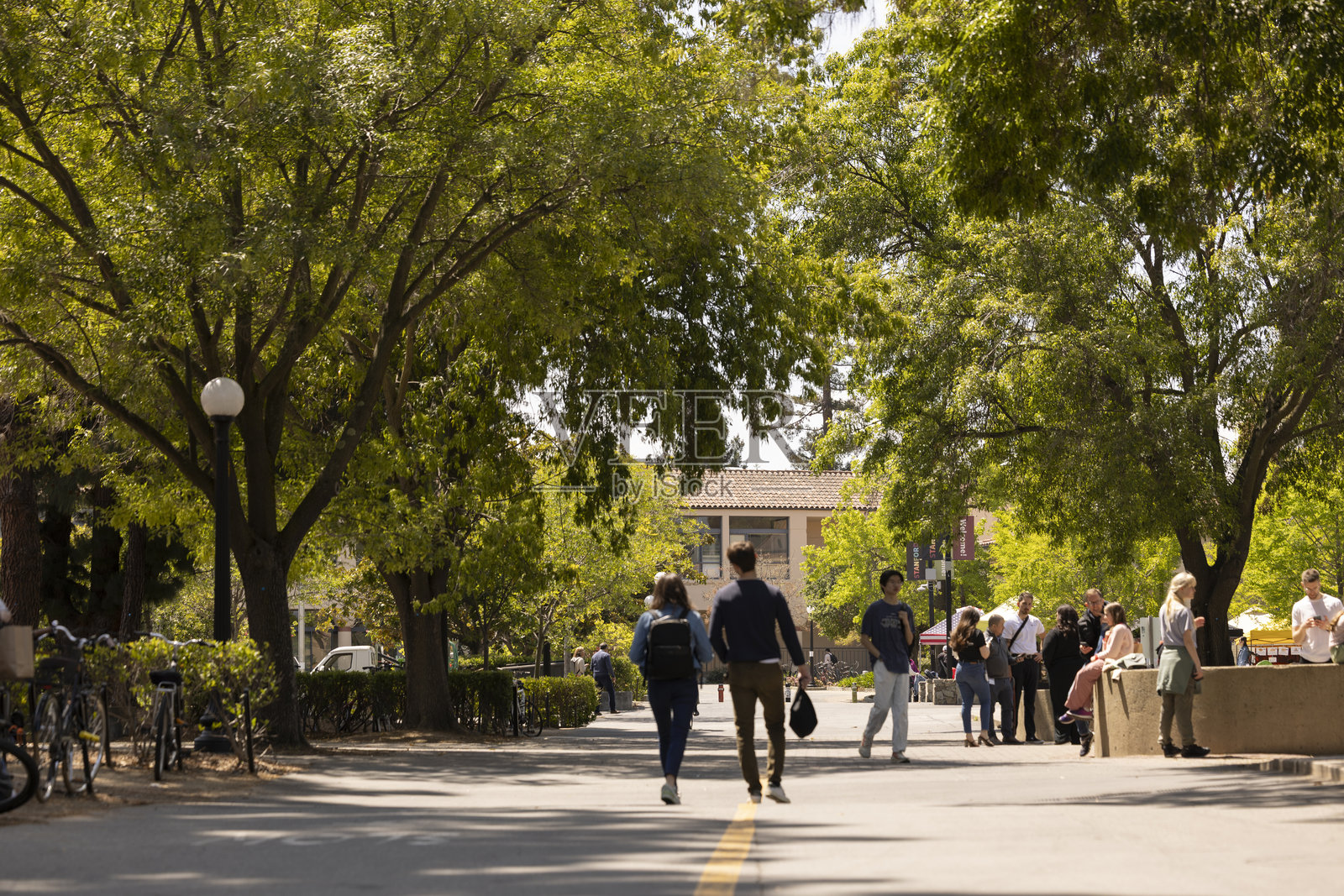 斯坦福大学校园漫步照片摄影图片