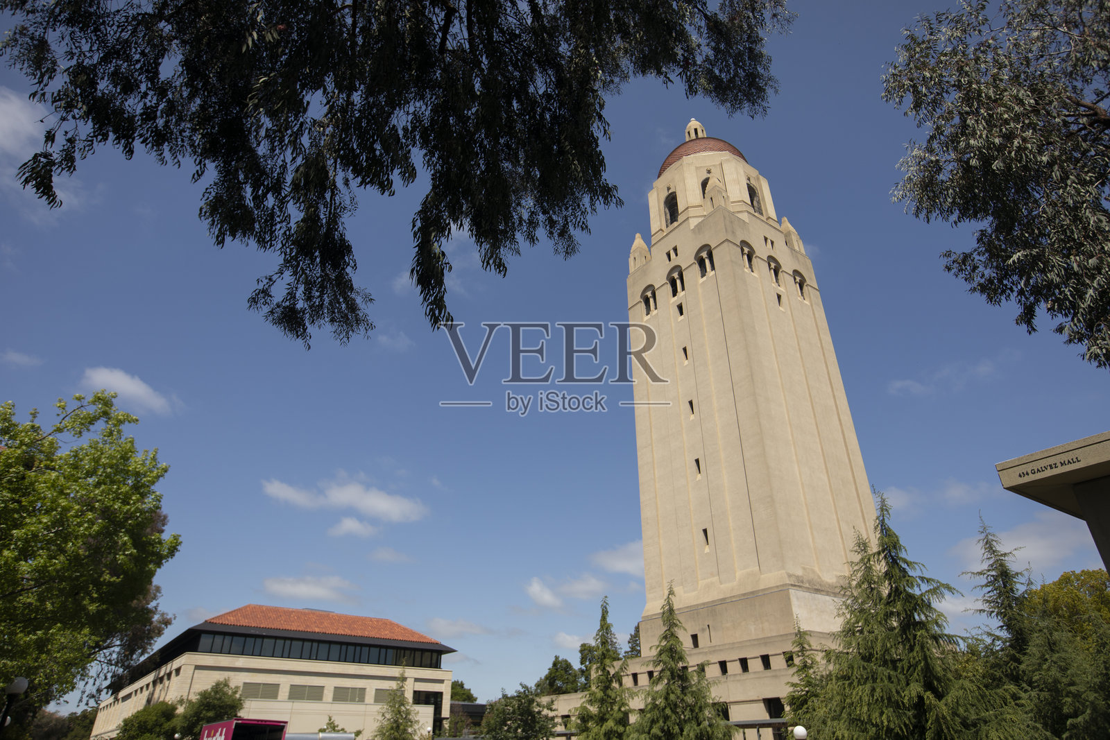 斯坦福大学胡佛塔天际线照片摄影图片