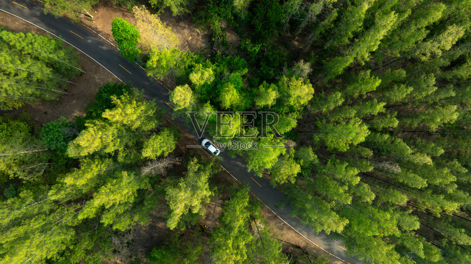 深绿色森林道路和白色电动车的鸟瞰图，自然风光与高架道路，冒险旅行、交通与环保理念。照片摄影图片
