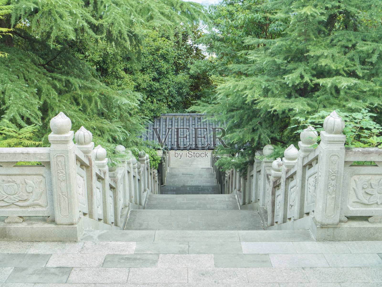 松树间的山路石阶照片摄影图片