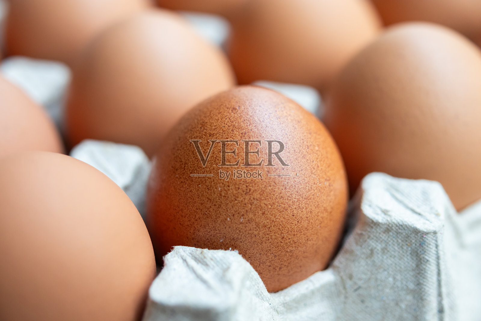 新鲜有机棕色鸡蛋在纸板托盘中照片摄影图片