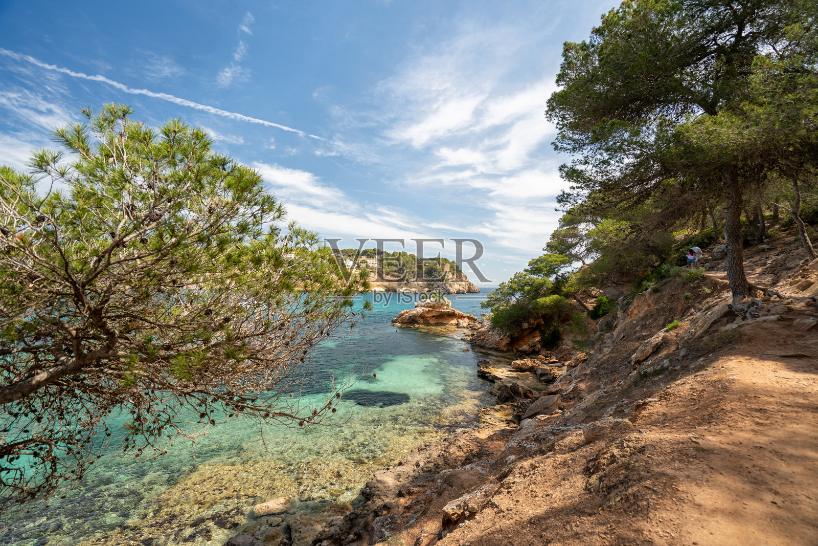 马略卡岛，巴利阿里群岛，西班牙的隐秘海湾，碧蓝清澈的海水和地中海松树。照片摄影图片