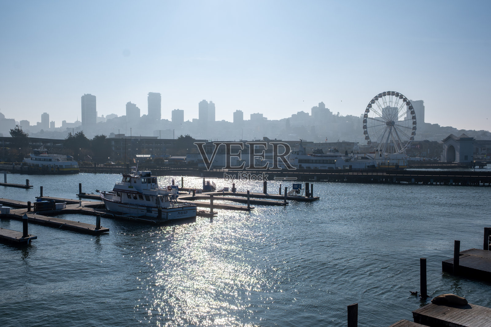 旧金山39号码码头的早晨景色，船只与城市天际线相映成趣照片摄影图片