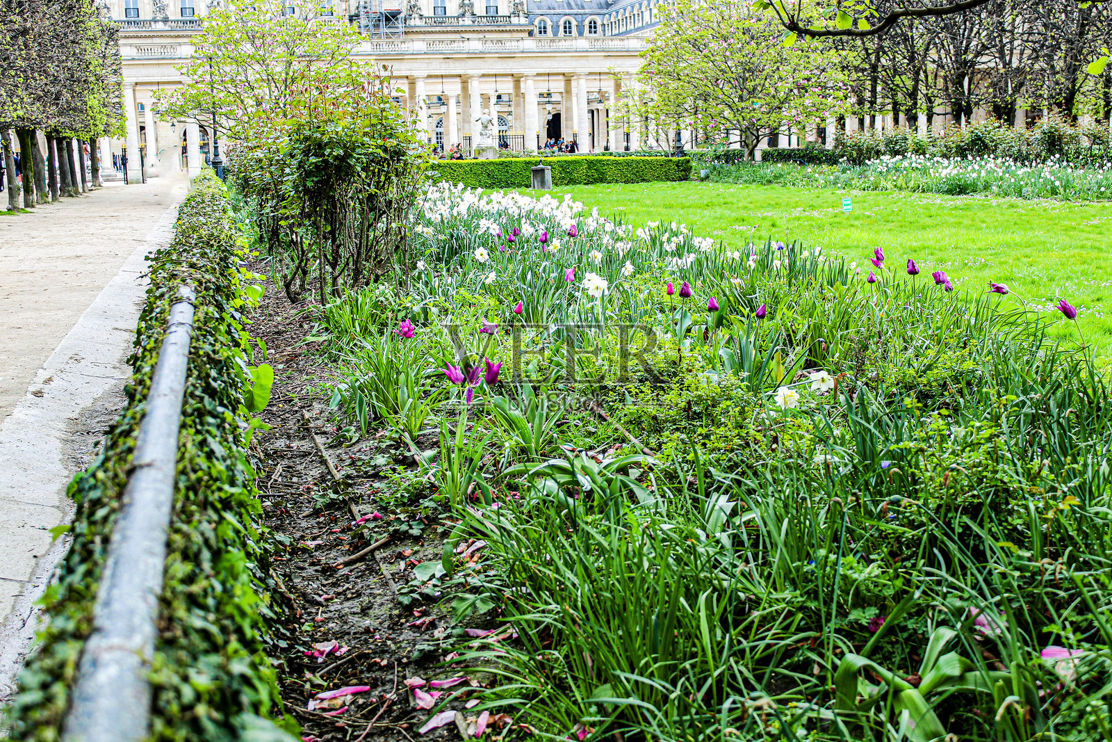 皇家宫殿的花园照片摄影图片