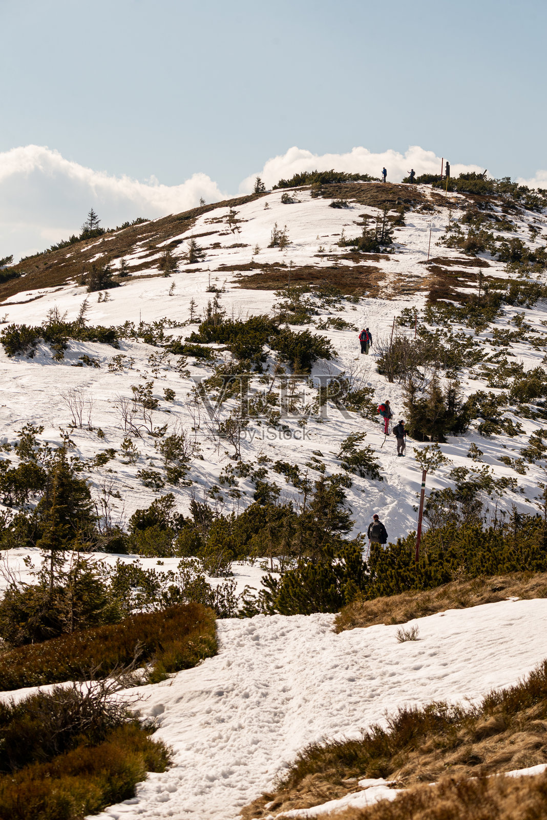 波兰的山地风景。冬雪覆盖的巴比亚山峰。巴比亚山国家公园。照片摄影图片