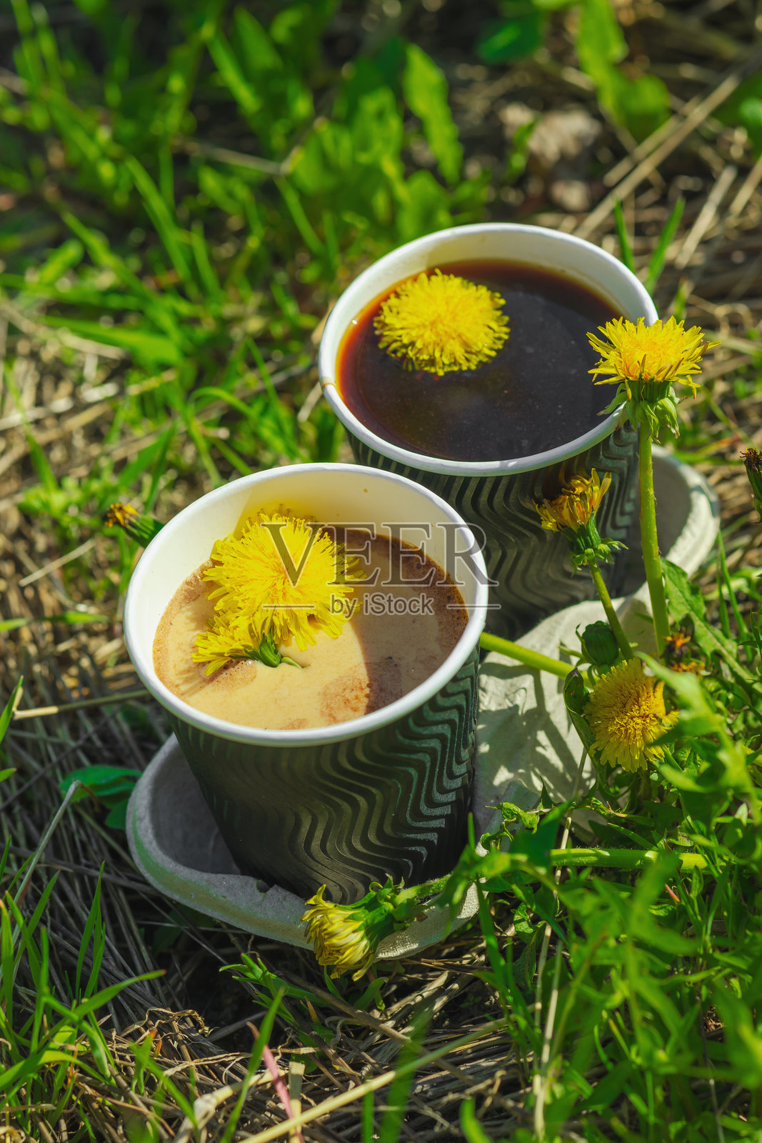 时尚的蒲公英咖啡，装在环保纸杯中，背景是盛开的草地照片摄影图片