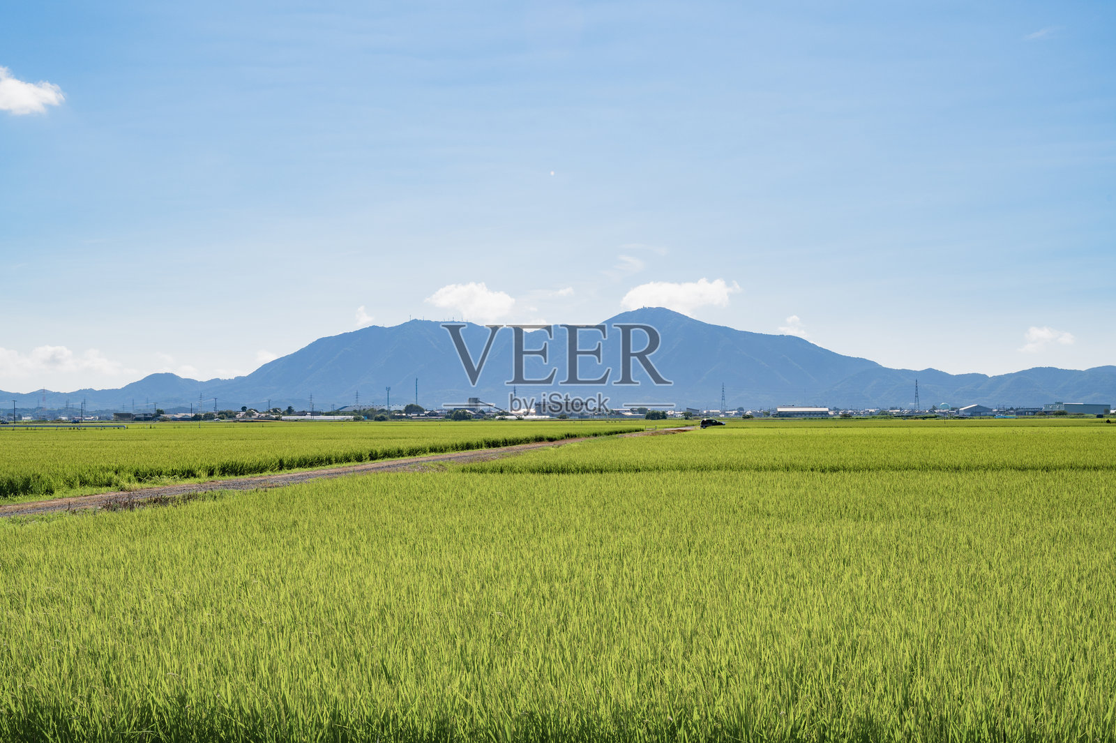 稻田与蓝天，背景是八彦山照片摄影图片