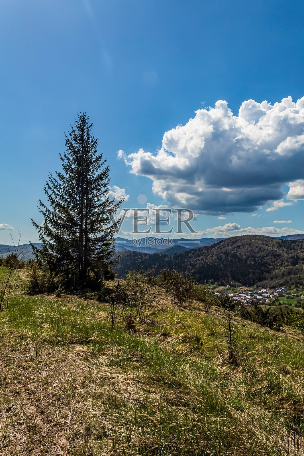 森林，喀尔巴阡山脉，自然照片 - 欧洲，东欧，罗马尼亚照片摄影图片
