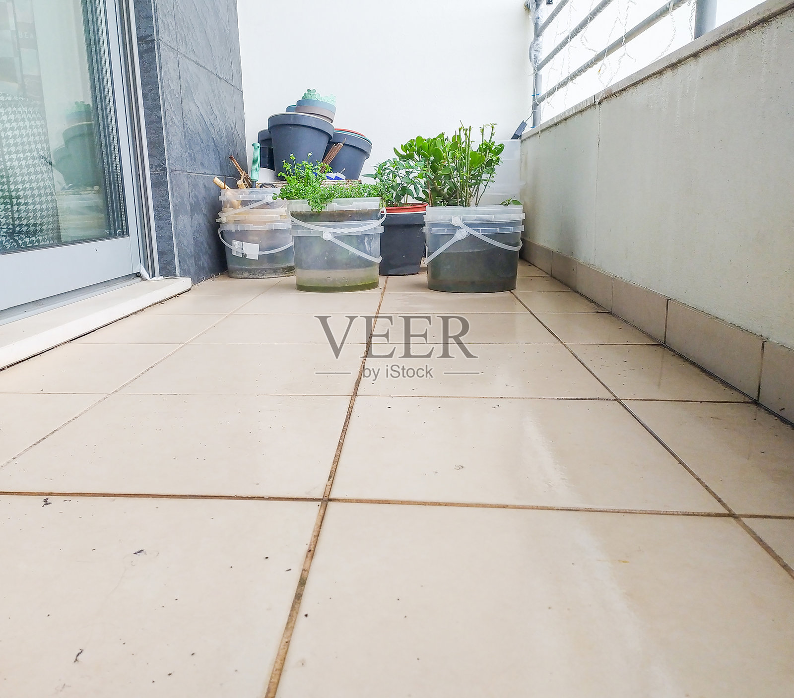 阳台上的城市园艺，展示了使用回收容器种植植物。体现了可持续性、资源利用和将自然带入城市生活。适用于生活方式和家居装饰。照片摄影图片